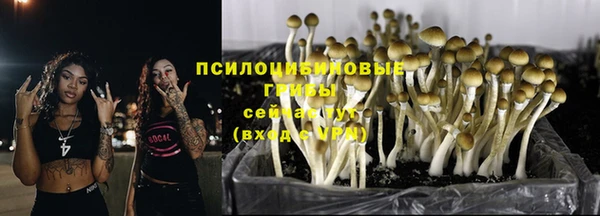 скорость Кинешма