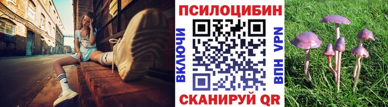 Купить закладки  Вязьма  Псилоцибиновые грибы Psilocybine cubensis 